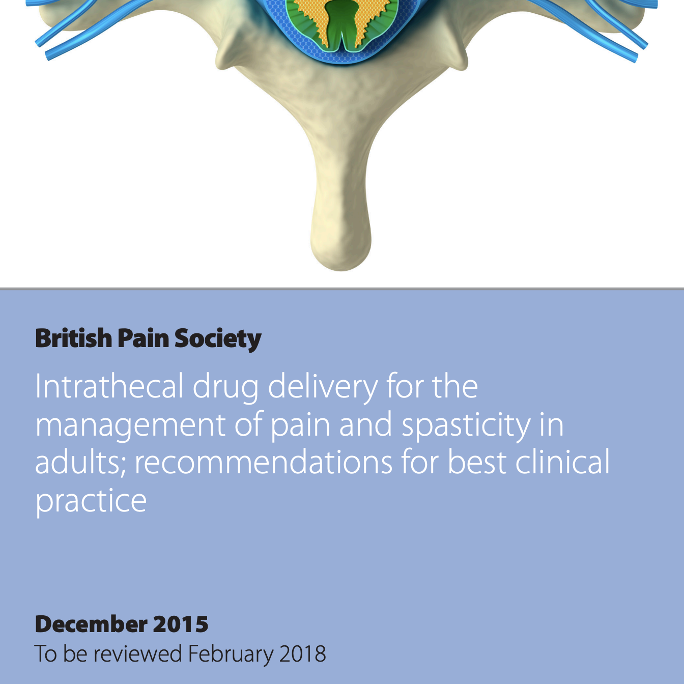 Intrathecal drug delivery for the management of pain and spasticity in adults; recommendations for best clinical practice (2015)